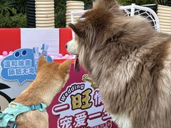 -上海神旺大酒店