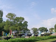 -上海都市菜园