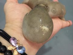 -众彩物流水产市场