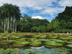-中国科学院西双版纳热带植物园