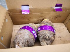 -麦德龙(郑东店)