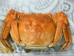 -佬太公海鸭·海鲜大排档(上海总店)