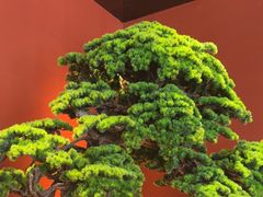 -阿伟海鲜楼·福建菜(延寿店)