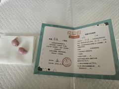 -瑞派宠物医院·犬猫全科·猫友好(宾水西道店)