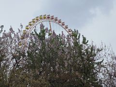 -辛玛王国游乐园