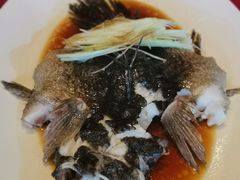 -利苑酒家(金宝店)