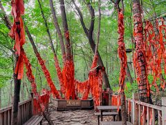 -帽儿山风景区