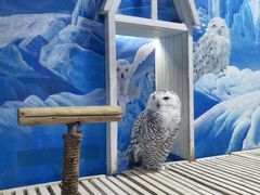 -成都浩海立方海洋公园