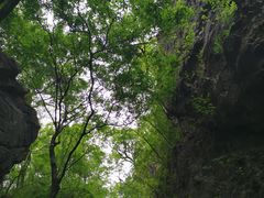 -塔云山