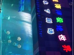 -泉城欧乐堡海洋极地世界