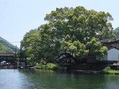 -鹿亭中村