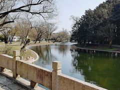 -上海共青森林公园