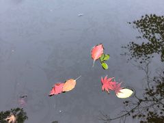 -汇龙潭