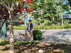 -宠福鑫康馨动物医院·骨科·眼科