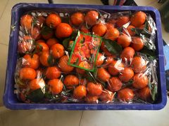 -新发地高碑店农副产品物流园
