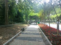 景点-解放公园