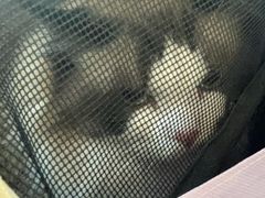 -芭比堂动物医院·心脏专科·夜诊·吉雅分院