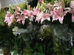 -秦美花卉(天朗·莱茵小城2期店)
