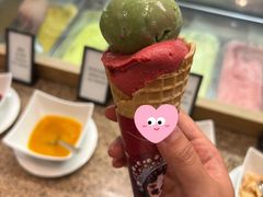 -视界美食自助餐厅·石家庄希尔顿酒店