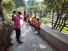 -九龙公园