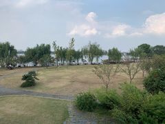 -鹅湖玫瑰文化园