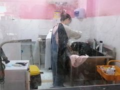 -狗不理喵子(百富路店)