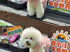 -天津万象城