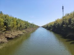 -黄海国家森林公园