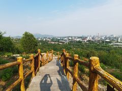 -白水寺森林公园