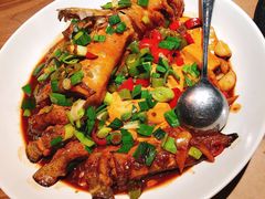 野生鱼钩炖豆腐-青桃餐厅