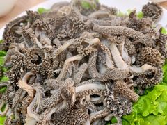 -协顺园回头馆(南顺城路店)