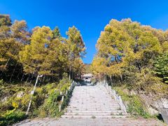 -九鼎铁刹山风景区