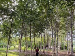 -长春市南湖公园