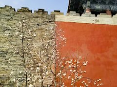 -东华门大街小区