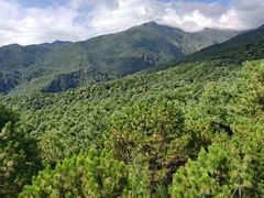 -苍山感通索道
