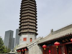 -西海子公园