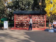 -七彩云南欢乐世界