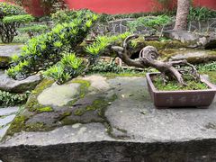 -成都武侯祠博物馆