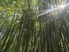 -汇龙潭
