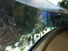 -福州罗源湾海洋世界旅游区