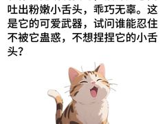 -pd派德宠物中心医院24H急重症·眼科中心·血液透析中心(嵩山北路店)