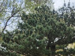 -同里湖大饭店-怡景轩中餐厅(同里古镇店)