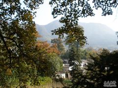 -塔川景区