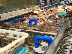 -一方渔歌蒸汽海鲜自助(文化路万达广场店)