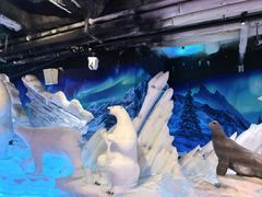 -海合安成都极地海洋公园