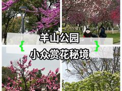 -羊山湖公园