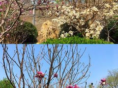 -张学良旧居陈列馆