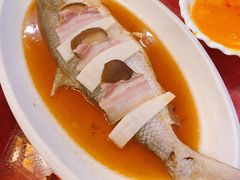 酒糟蒸鲥鱼-三林本帮馆(中林街店)