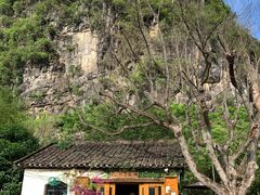 -村上春树