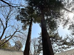 -潭柘寺景区